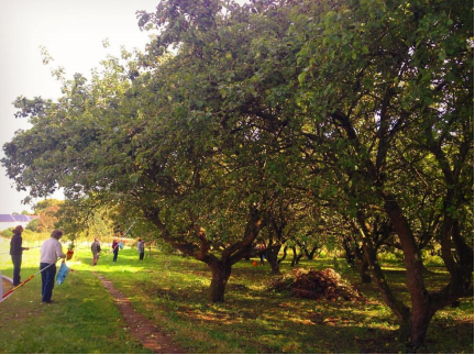 working in the orchard