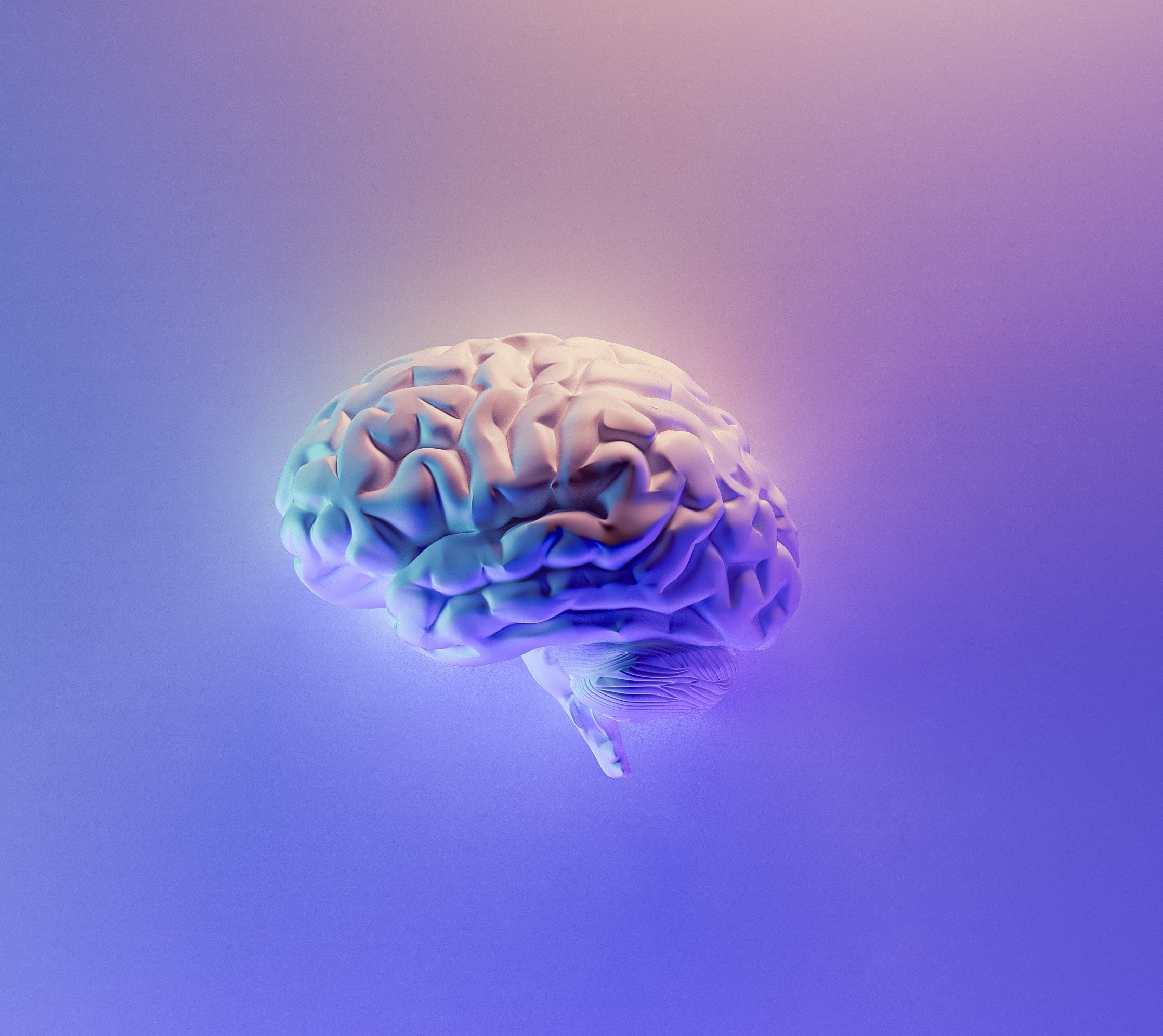 artist impression of a brain on blue background