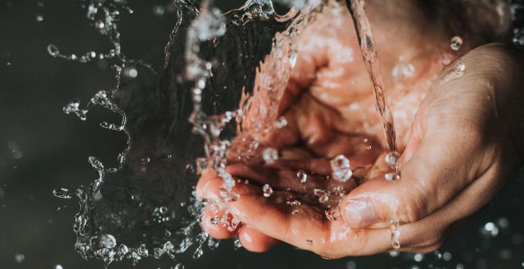 handwashing handwashing