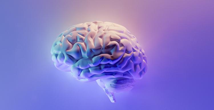 artist impression of a brain on blue background