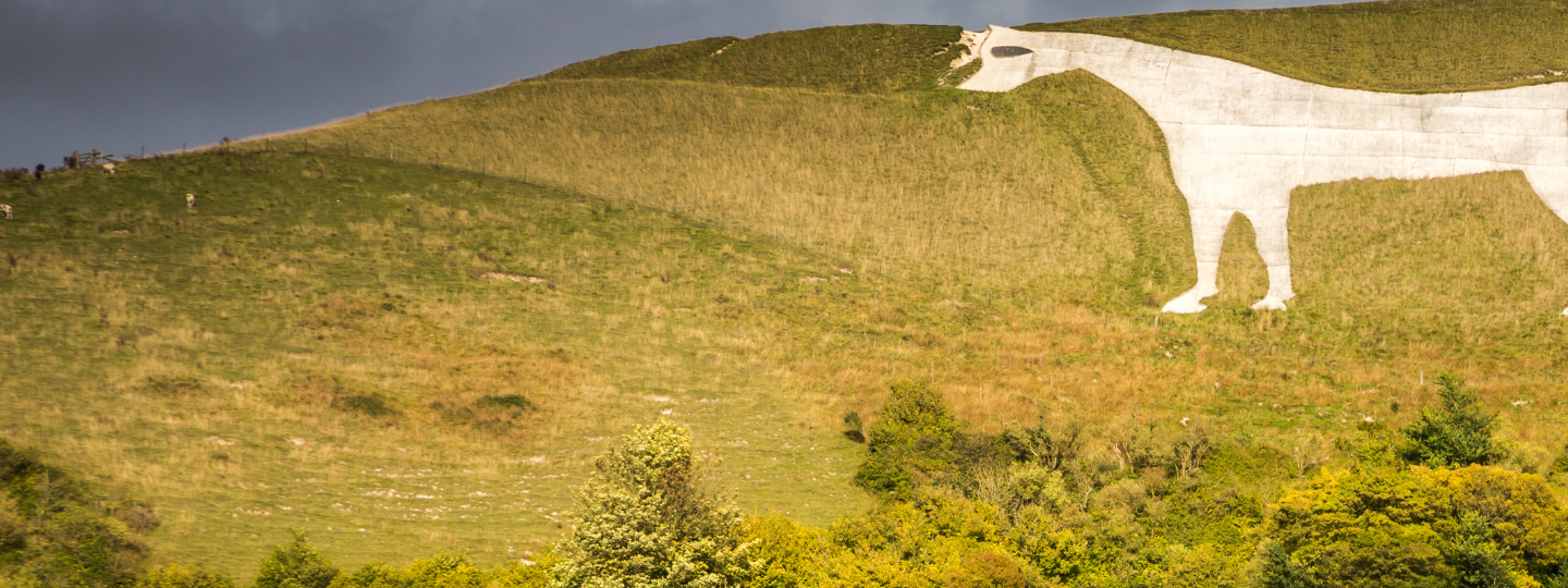 A large white chalk horse carved into a grassy hillside, with green farmland stretching across the valley below.