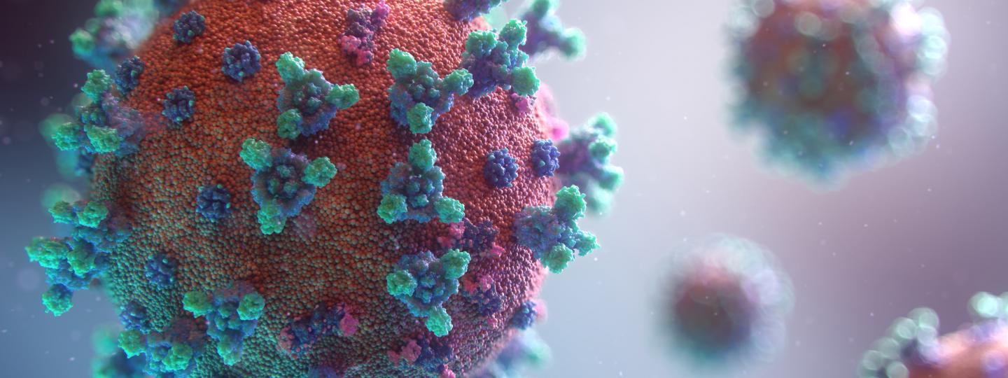 coronavirus visualisation