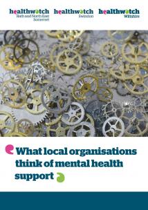 Front cover of what local organisations think of mental health support report